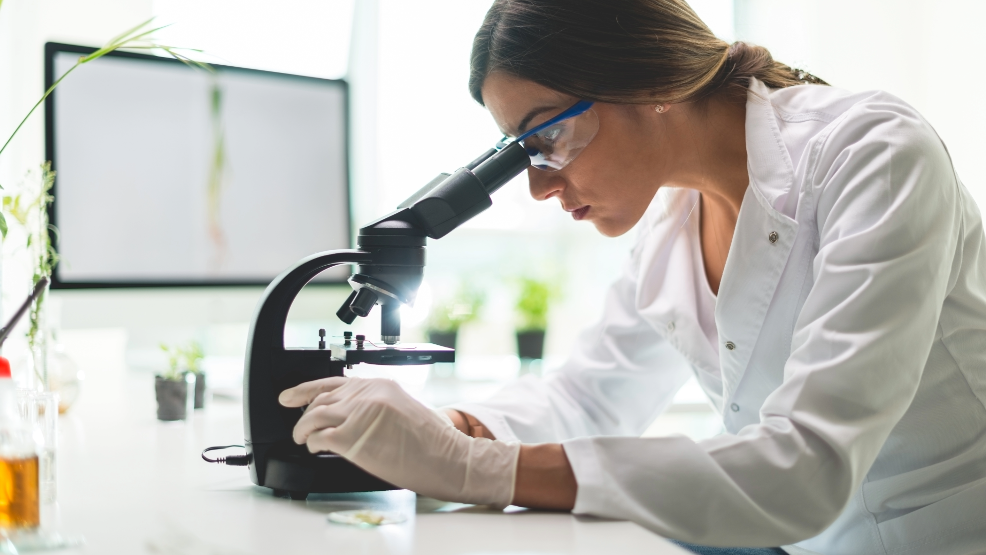Web design for research and development firms