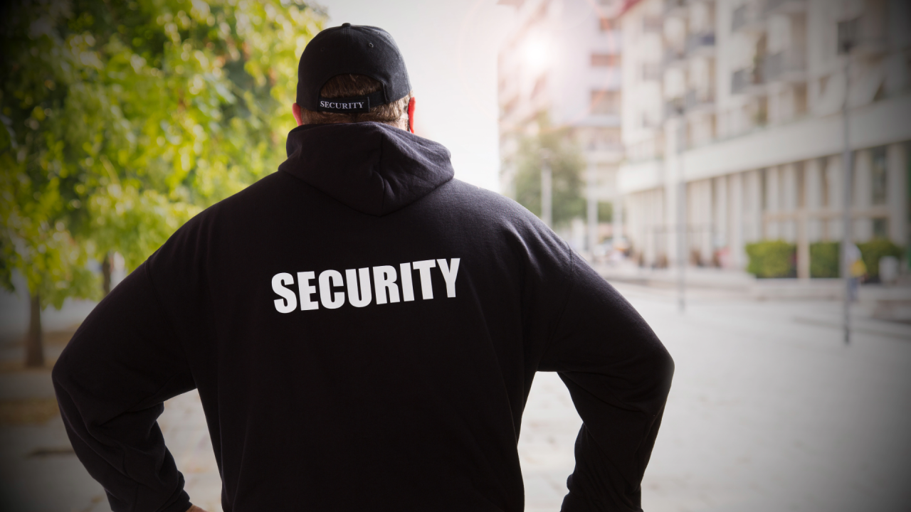 How Do Security Firms Win Government Contracts?